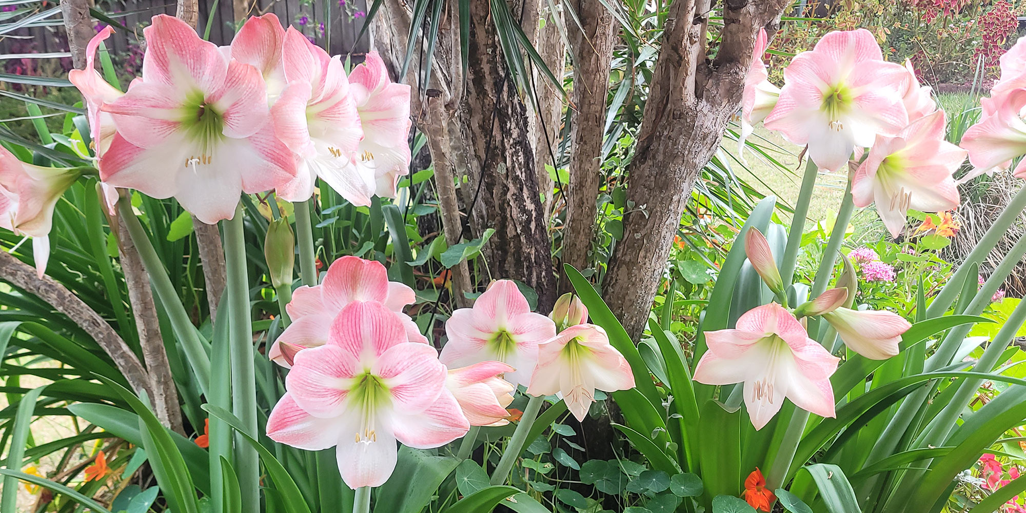 My First Blog Post