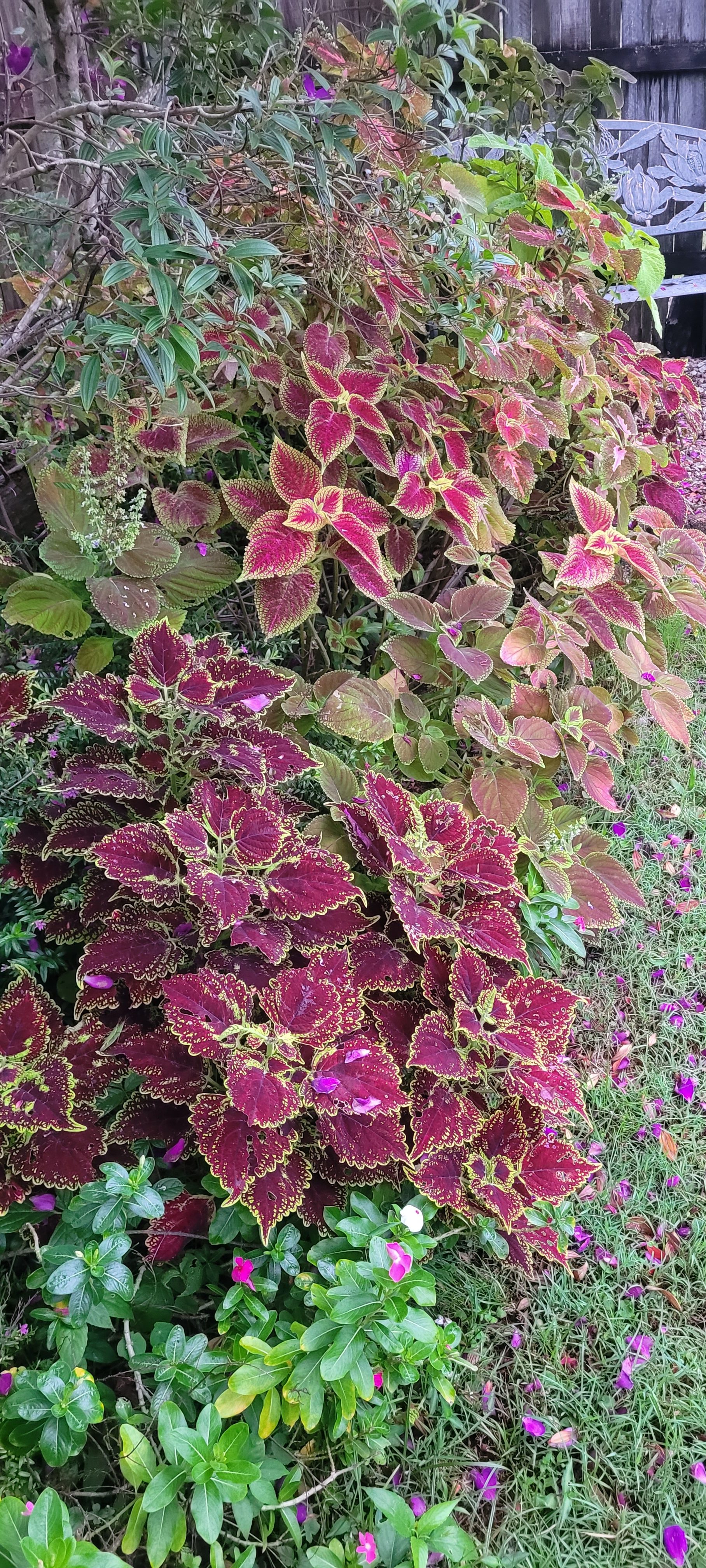 Its Not Just About the Flowers